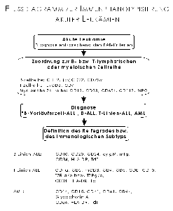 Flußdiagramm: Diagnostik akuter Leukämien